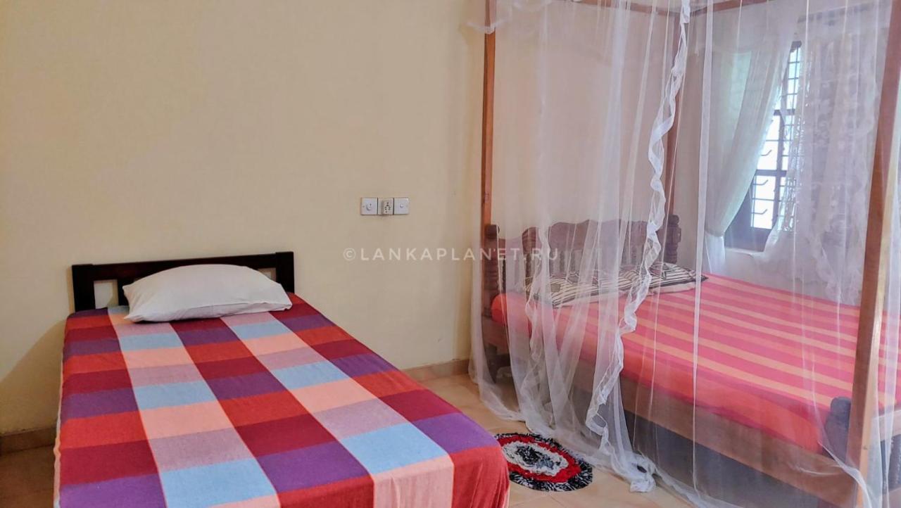 Hotel Twin Palms Mirissa Zewnętrze zdjęcie