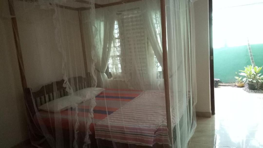 Hotel Twin Palms Mirissa Zewnętrze zdjęcie